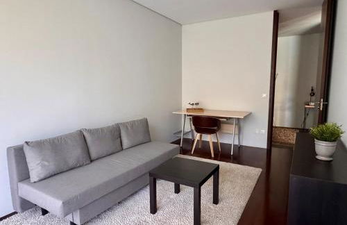 Villa Branco in the North of Portugal - Foto 33