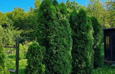 Kuća za odmor Hodak - Foto 7