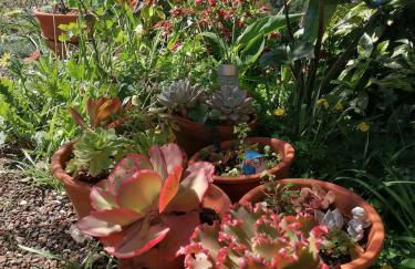 Abrigo do Monte - Foto 44