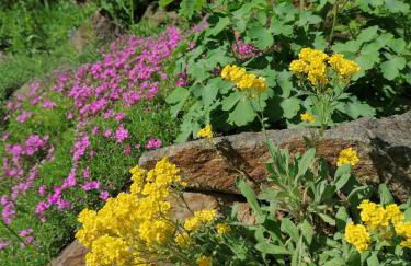 Ferienwohnung Villa Claudia - Photo 15