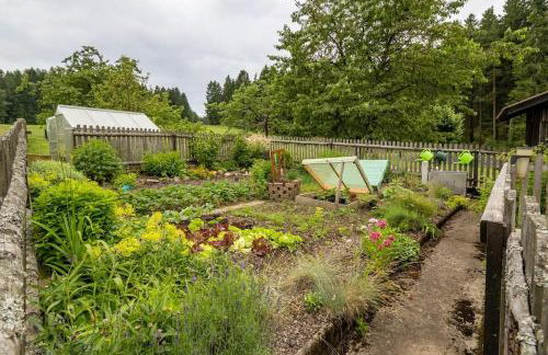 Ferienhof Stöhrmühle - Foto 22