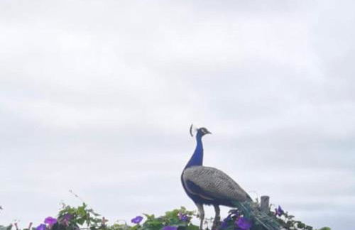 Casas La Principal - Foto 15