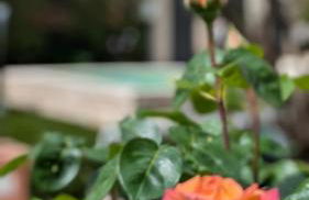 Chez Pascaline - Foto 5