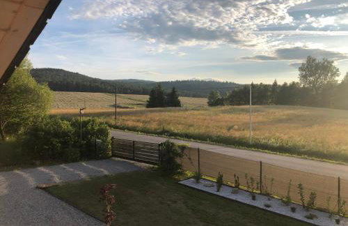 Przylesie Domki - Foto 21