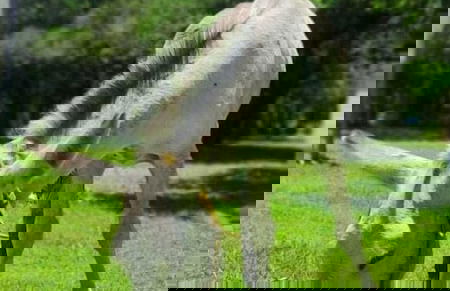 Cabañas La Morada - Foto 64