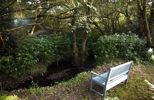 Go Eco Glamping - Foto 28