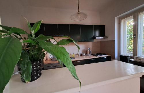 Apartman Soda - Foto 33