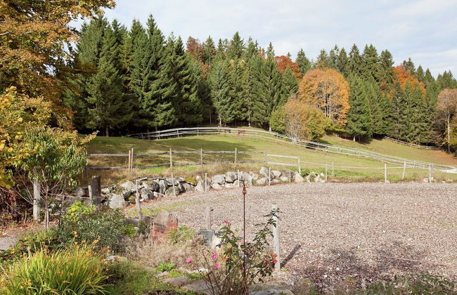 Malerische Erdgeschosswohnung - Foto 32