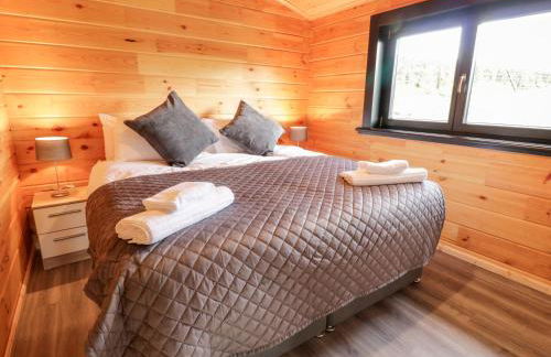 Bryn Eiddon Log Cabin - Photo 21