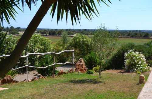 Agroturismo Finca Son Sala - Photo 53