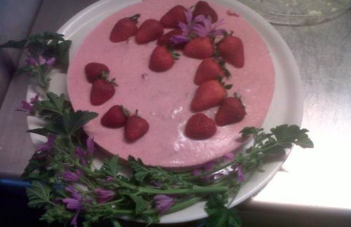 Agriturismo Cignale della Società Agricola Cignale srl - Photo 40