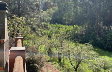 Casa Rural en medio del bosque, El Lance - Foto 12