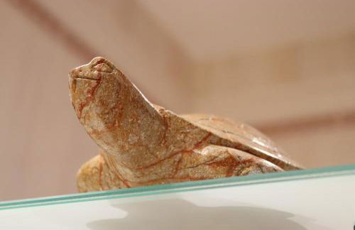 Lanau Casa Barbacoa Bike's Jardín Naturaleza - Foto 6