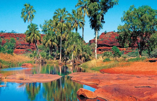 Safari 4x4 por el Outback de Palm Valley - Tour de día completo - Foto 1