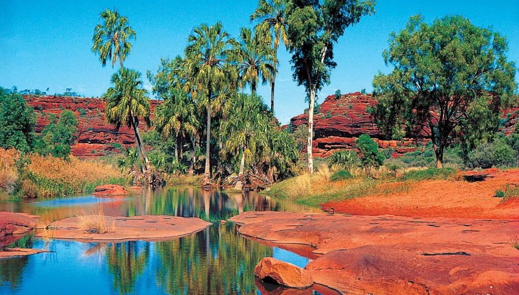 Safari 4x4 por el Outback de Palm Valley - Tour de día completo - Foto 1