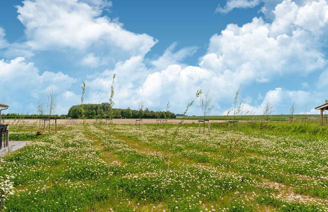 Seaside Comfort Near Scherpenisse - Foto 40