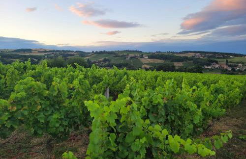 Beaujolais - Maison pierres dorées - Foto 38