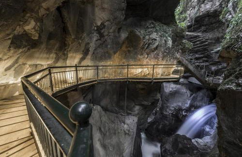 La Mimosa di Bellano - Foto 7