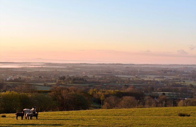 Glenshane Country House - Foto 30