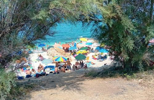 La terrazza sul porto - Foto 16