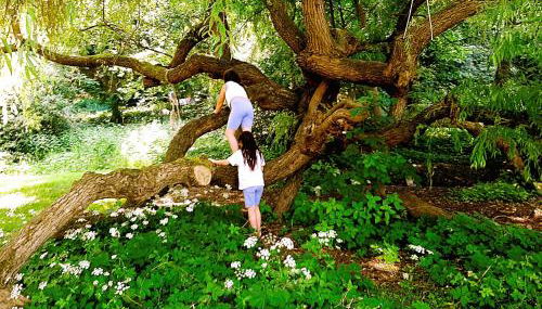 Die Malche Gäste und Tagungshaus 16 - Photo 3