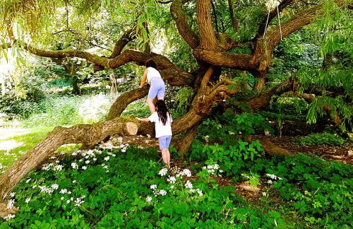 Die Malche Gäste und Tagungshaus 16 - Photo 3