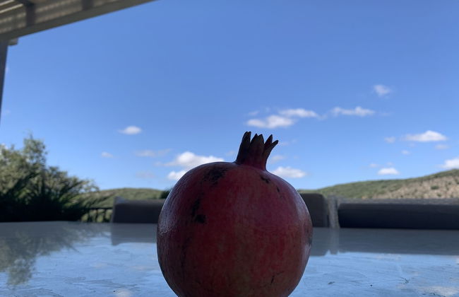 Habait be Shomera - Foto 14