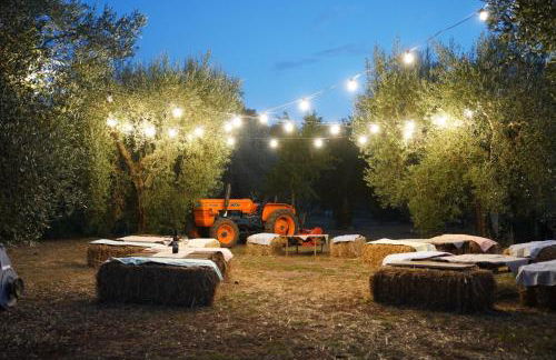 Agriturismo Country Casale Rufo - Foto 19