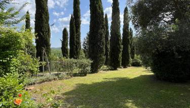 Villa Tre Colli - In The Heart Of Tuscany - Foto 3, Garden, Garden view