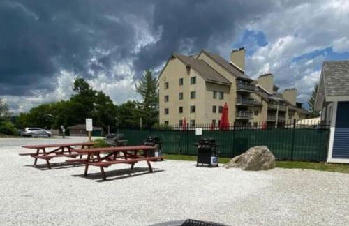 The Grizz AC Pool Sauna Gym Near Resort - Photo 29