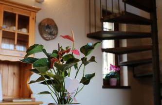 Casa Vacanze Le Primule - Foto 20