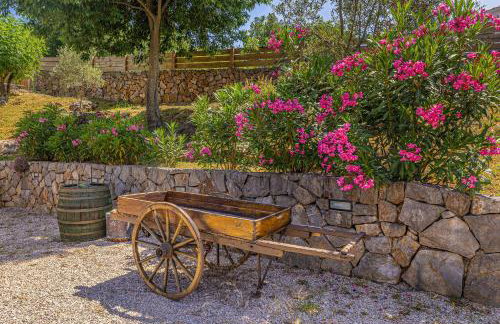 Villa Franolic - Photo 38