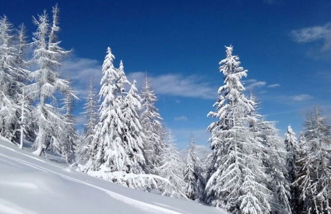 Holiday Home in Bad Kleinkirchheim - Photo 45