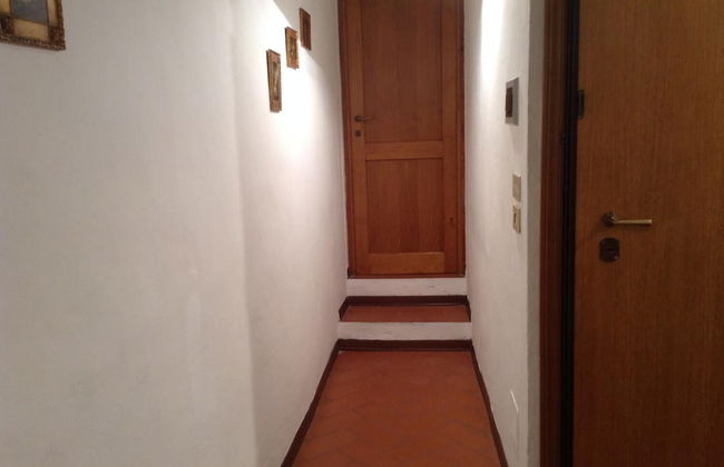 Vellutini Number One - Foto 56