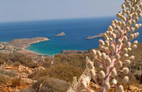 Alkionides Villas - Foto 31