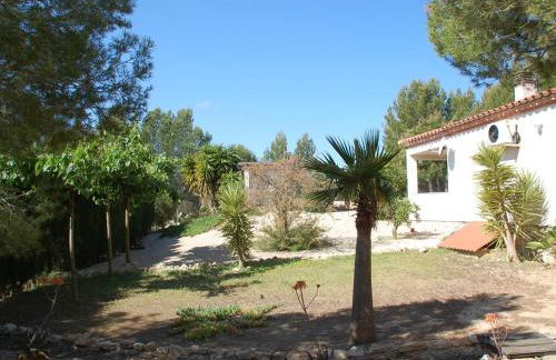 34 Sant Jordi - Foto 32