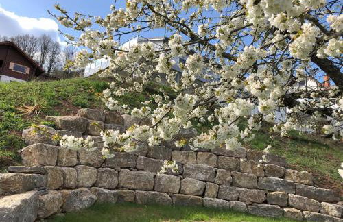 Am Rothen Hang - Foto 10