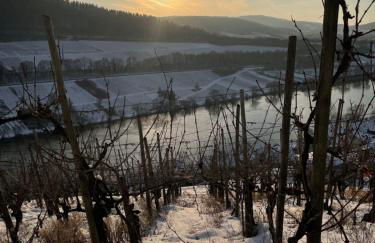 DAS AMBIENTE II Komfortables Wohnerlebnis mit Moselromantik - Herzlich Willkommen - - Foto 25