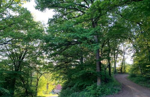 Kleiner Kalle - Foto 12