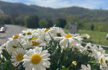 La finestra sul Farfa - Foto 17