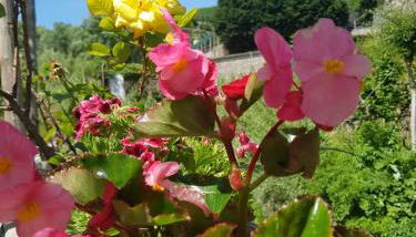 Casa Nonna Anna - Foto 2