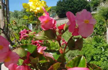 Casa Nonna Anna - Foto 2