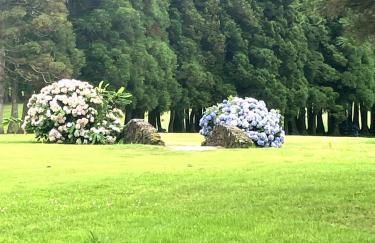 Casa MARGO - Photo 10