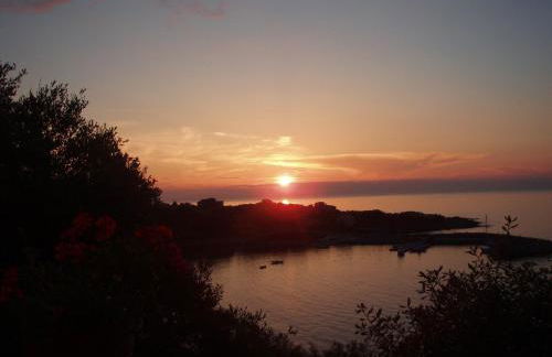 Résidences Sopramare - Foto 138