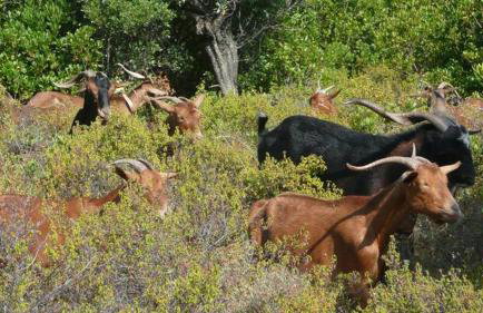 Magnolia Apartment - Foto 8