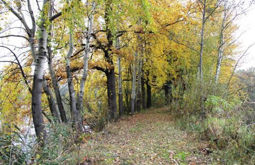 Ferienhaus "Ullersdorfer Teiche" - Foto 22