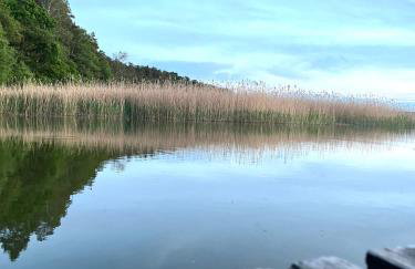 Przystanek Gałkowo - Foto 32