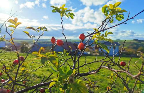 Ferienwohnung Löwenstern Niederstetten - Foto 24