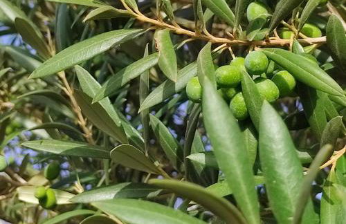 Home2Book Fantasy Villa & Nature, Private Pool - Foto 52