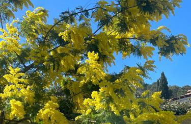 La Cartagène - charmant appartement entouré de nature - Photo 17